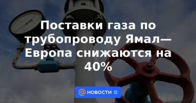 Александр Лукашенко - Поставки газа по трубопроводу Ямал—Европа снижаются на 40% - smartmoney.one - Украина - Белоруссия - Германия - Голландия