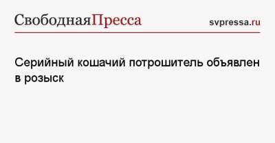 Серийный кошачий потрошитель объявлен в розыск - svpressa.ru - Англия
