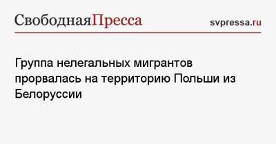 Группа нелегальных мигрантов прорвалась на территорию Польши из Белоруссии - svpressa.ru - Сирия - Грузия - Белоруссия - Ирак - Польша