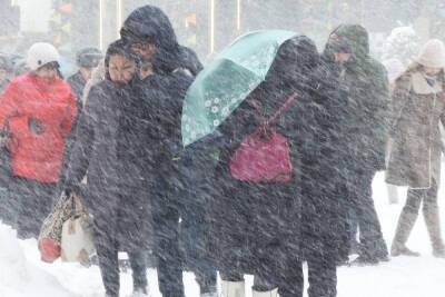 Александр Голубев - Синоптики назвали самый снежный день в Москве на следующей неделе - mk.ru - Москва