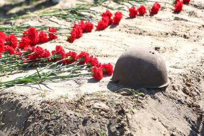 Спустя 80 лет на родине в Ульяновской области похоронили солдата - ulpravda.ru - Ульяновская - район Жлобинский - район Старомайнский
