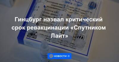 Гинцбург назвал критический срок ревакцинации «Спутником Лайт» - news.mail.ru - Москва