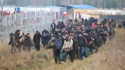 Группа иракцев была задержана на границе между Беларусью и Польшей - svoboda.org - Белоруссия - Ирак - Польша