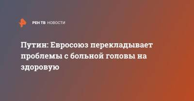 Владимир Путин - Павел Зарубин - Путин: Евросоюз перекладывает проблемы с больной головы на здоровую - ren.tv - Москва - Россия - Белоруссия - Европа