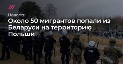 Около 50 мигрантов попали из Беларуси на территорию Польши - tvrain.ru - Сирия - Грузия - Белоруссия - Ирак - Польша