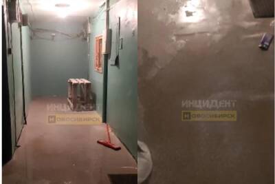 В Новосибирске жители Советского района страдают из-за протекающей крыши - sib.fm - Новосибирск - район Советский, Новосибирск