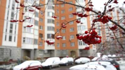 Столичные службы подготовились к снежной погоде и похолоданию - vm.ru - Москва