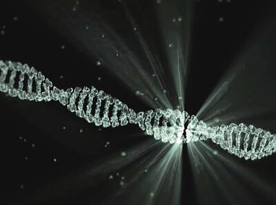 Ученые обнаружили компоненты ДНК, которые превратили примата в человека и мира - cursorinfo.co.il - Швеция