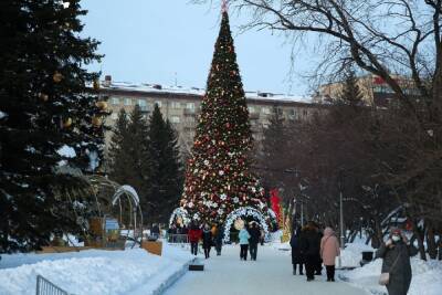 Главную елку Новосибирска установят к 1 декабря - novos.mk.ru - Новосибирск