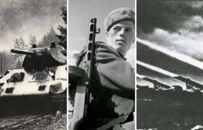 5 советских оружейных «брендов» времен Второй мировой войны, которые узнают с первого взгляда - skuke.net