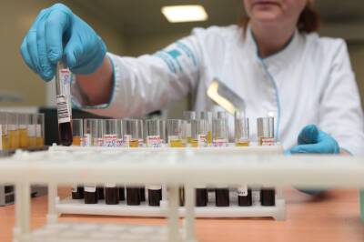 Китайцы выявили коронавирус на переданных из России печеньках - neva.today - Россия - Китай - Санкт-Петербург - Хэйхэ