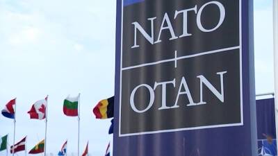 Йенс Столтенберг - В НАТО нет консенсуса по возможному вступлению Украины - tvc.ru - Украина - Грузия