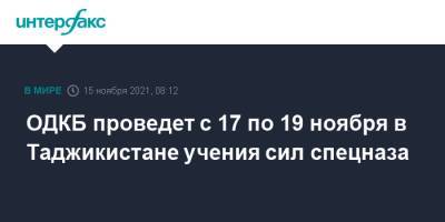 ОДКБ проведет c 17 по 19 ноября в Таджикистане учения сил спецназа - interfax.ru - Москва - Россия - Таджикистан