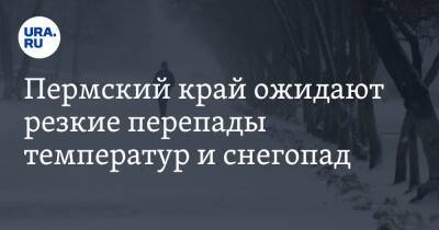 Пермский край ожидают резкие перепады температур и снегопад - ura.news - Пермский край