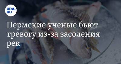 Пермские ученые бьют тревогу из-за засоления рек - ura.news - Россия - Пермь - Пермский край - Экология
