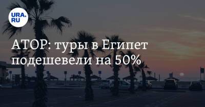Майя Ломидзе - АТОР: туры в Египет подешевели на 50% - ura.news - Россия - Египет - Турция - Куба - Эмираты