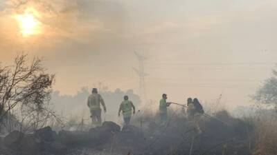 72 часа огня: что привело к волне пожаров и когда ожидается первый осенний дождь - vesty.co.il - Израиль - Иерусалим