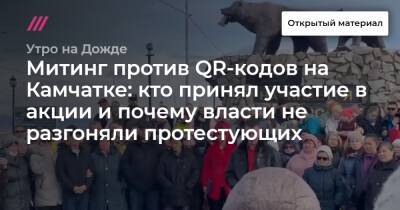 Митинг против QR-кодов на Камчатке: кто принял участие в акции и почему власти не разгоняли протестующих - tvrain.ru - Камчатский край