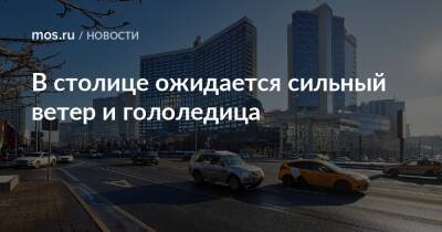 В столице ожидается сильный ветер и гололедица - mos.ru - Москва