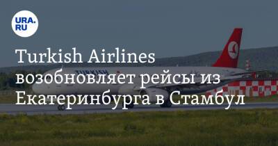 Turkish Airlines возобновляет рейсы из Екатеринбурга в Стамбул - ura.news - Екатеринбург - Турция - Стамбул