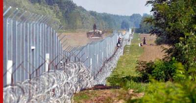 Польские власти построят стену на границе с Белоруссией - profile.ru - Белоруссия - Польша