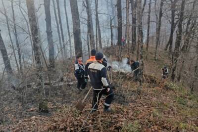 В Туапсинском районе ликвидировали лесной пожар площадью 3,8 гектара - kuban.mk.ru - Краснодарский край