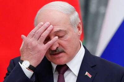 Александр Лукашенко - Лукашенко заинтересовался мнением белорусов о новой Конституции - lenta.ru - Белоруссия