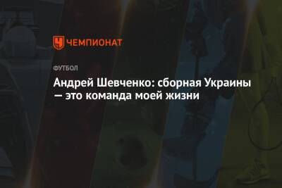 Андрей Шевченко - Андрей Шевченко: сборная Украины — это команда моей жизни - championat.com - Украина - Болгария - Босния и Герцеговина