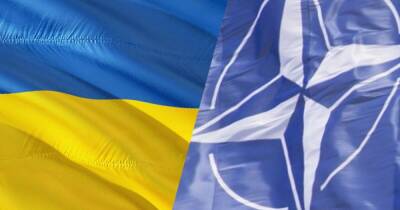 Константин Елисеев - Обмен разведданными отсутствует: НАТО не доверяет украинским властям после скандала с “вагнеровцами” – Елисеев - prm.ua - Украина