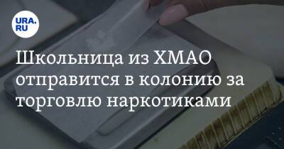 Школьница из ХМАО отправится в колонию за торговлю наркотиками - ura.news - Ханты-Мансийск - Югра