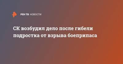 Ольга Врадий - СК возбудил дело после гибели подростка от взрыва боеприпаса - ren.tv - Россия - Московская обл. - Подольск