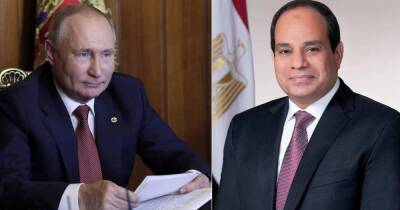 Владимир Путин - Абдель Фаттах - Путин обсудил с президентом Египта строительство первой АЭС в стране - ren.tv - Россия - Египет