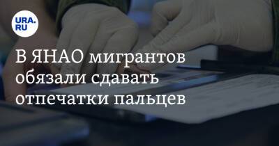 В ЯНАО мигрантов обязали сдавать отпечатки пальцев - ura.news - Россия - окр. Янао