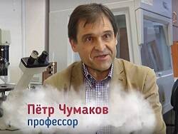 Петр Чумаков - Медсестры ответили Чумакову: «Сам ты полуграмотный!» - newsland.com - США