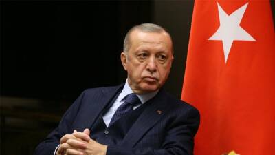 Реджеп Тайип Эрдоган - Президент Турции назвал себя самым опытным среди мировых лидеров - newdaynews.ru - Стамбул - Turkey