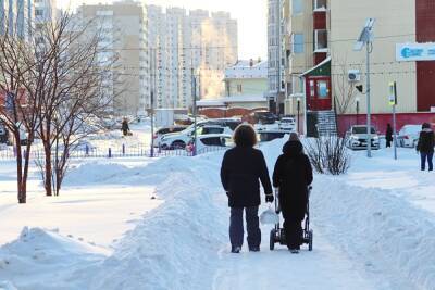 Наталья Комарова - Комарова: за последние пять лет рождаемость в Югре упала на 20% - znak.com - Югра