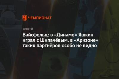 Вадим Шипачев - Павел Панышев - Дмитрий Яшкин - Леонид Вайсфельд - Вайсфельд: в «Динамо» Яшкин играл с Шипачёвым, в «Аризоне» таких партнёров особо не видно - championat.com - шт. Аризона