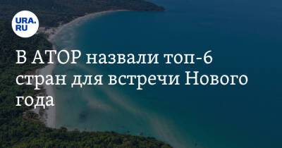 Дмитрий Горин - В АТОР назвали топ-6 стран для встречи Нового года - ura.news - Россия - Египет - Турция - Мальдивы - Куба - Эмираты