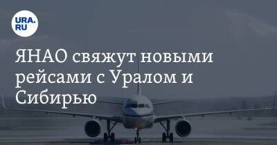 ЯНАО свяжут новыми рейсами с Уралом и Сибирью - ura.news - Челябинск - Ноябрьск - Омск - Салехард - окр. Янао
