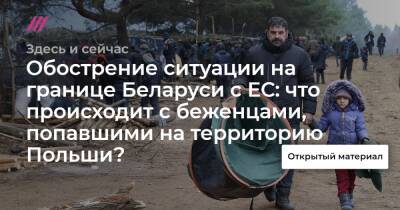 Сотни мигрантов на КПП Польши и звуки выстрелов: что происходит на границе Беларуси и ЕС - tvrain.ru - Белоруссия - Польша - Минск