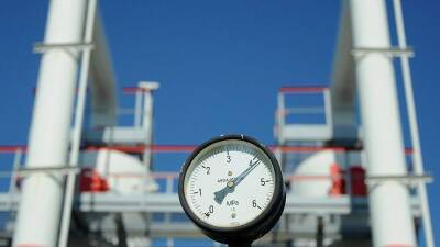 Александр Гончаров - В «Газпроме» оценили запасы газа в украинских хранилищах - iz.ru - Украина - Израиль