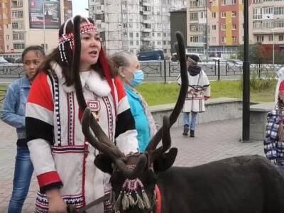 Михаил Дегтярев - Коренные народы Севера оказались на грани голода из-за нехватки рыбы - rosbalt.ru