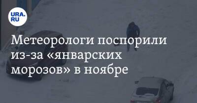 Евгений Тишковец - Татьяна Позднякова - Метеорологи поспорили из-за «январских морозов» в ноябре - ura.news - Москва - Московская обл.