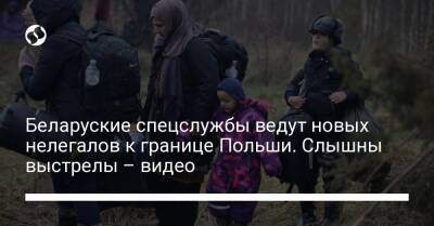 Беларуские спецслужбы ведут новых нелегалов к границе Польши. Слышны выстрелы – видео - liga.net - Украина - Польша