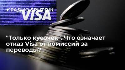 "Только кусочек". Что означает отказ Visa от комиссий за переводы? - smartmoney.one - Россия