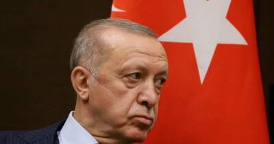 Реджеп Тайип Эрдоган - Реджеп Эрдоган - Президент Турции Эрдоган назвал себя самым опытным из мировых лидеров - ren.tv - Турция