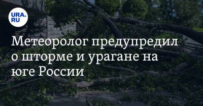 Александр Шувалов - Метеоролог предупредил о шторме и урагане на юге России. «Деревья повалит, крыши снесет» - ura.news - Россия - Сочи - Краснодар - Новороссийск - Экология