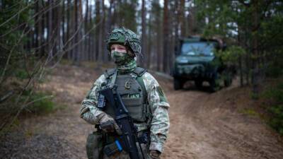 Гитанас Науседа - Литва заявила, что Россия "тем или иным образом связана с кризисом" - vesti.ru - Москва - Россия - Белоруссия - Ирак - Литва - Минск