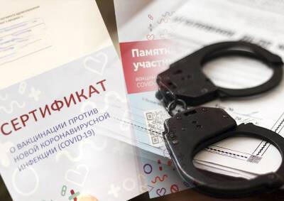 Михаил Мурашко - Санитарный врач Дубинин назвал бюрократической инициативу амнистировать купивших поддельные сертификации о вакцинации - mskgazeta.ru - Россия