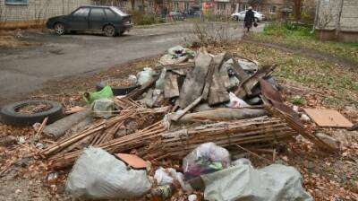 Во дворе на ул. Докучаева выросла куча специфического мусора - penzainform.ru
